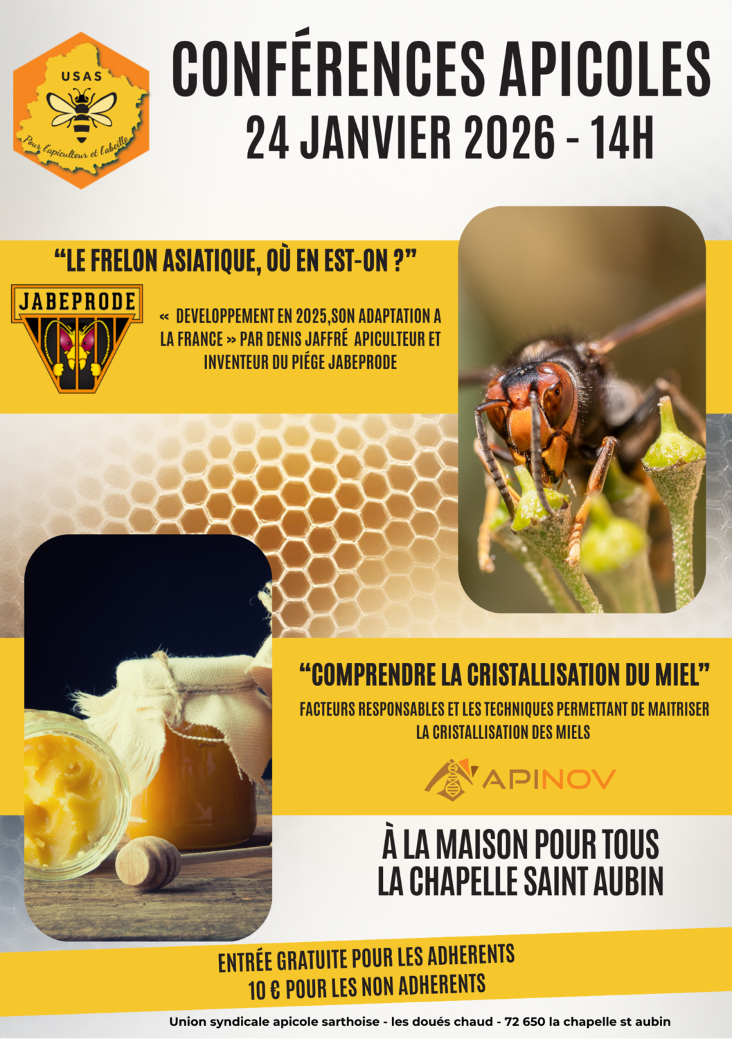 Conférences Apicoles – Frelon asiatique & Cristallisation du miel