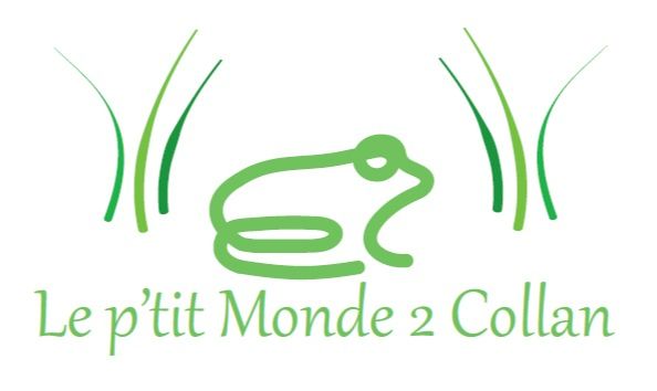 Logo Le P'tit Monde 2 Collan