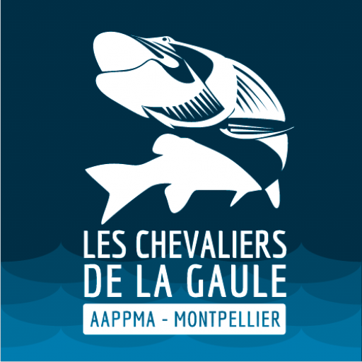 Logo AAPPMA Les chevaliers de la gaule
