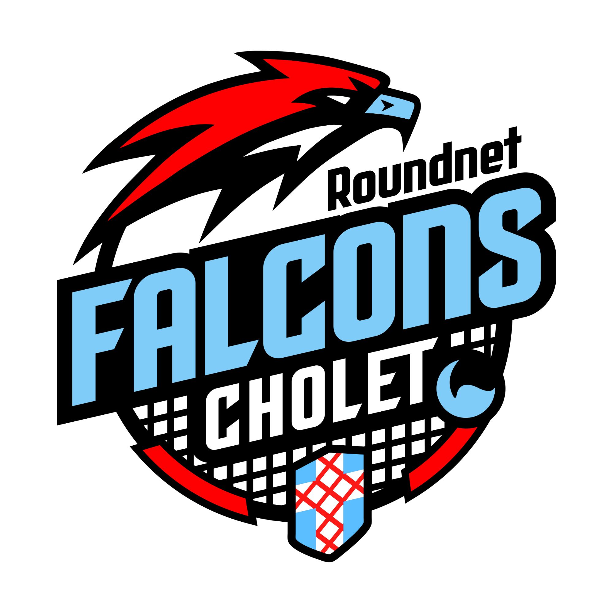 Domino's Falcons Day (n°2)