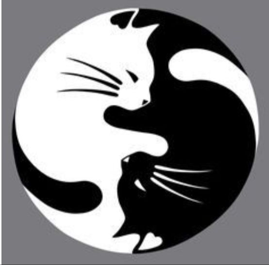 Atelier dessin Yin et Yang : mardi 22 déc 2026 10h-12h30