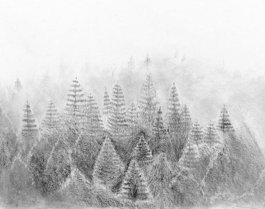 Stage dessin crayon et fusain : samedi 14 nov 2026