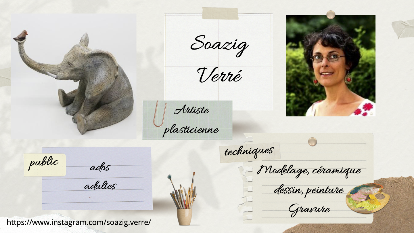 artiste Soazig Verré, artiste plasticienne.  le public cible de l'artiste : 