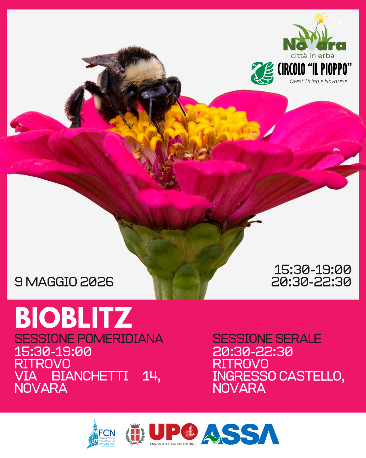BioBlitz - Novara Città in Erba
