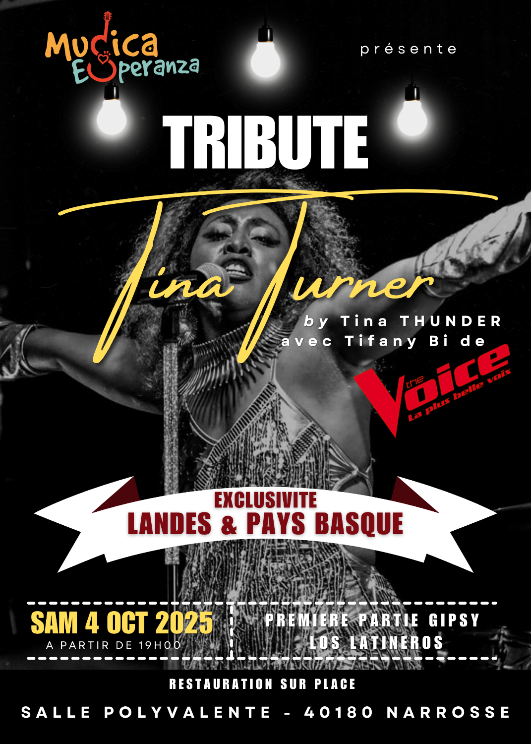 CONCERT TRIBUTE TINA TURNER