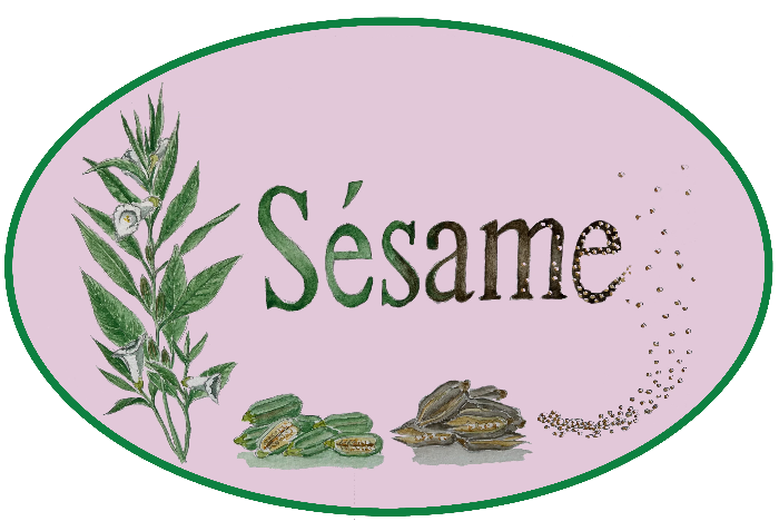 Logo SESAME