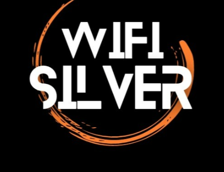 Logo Wifisilver