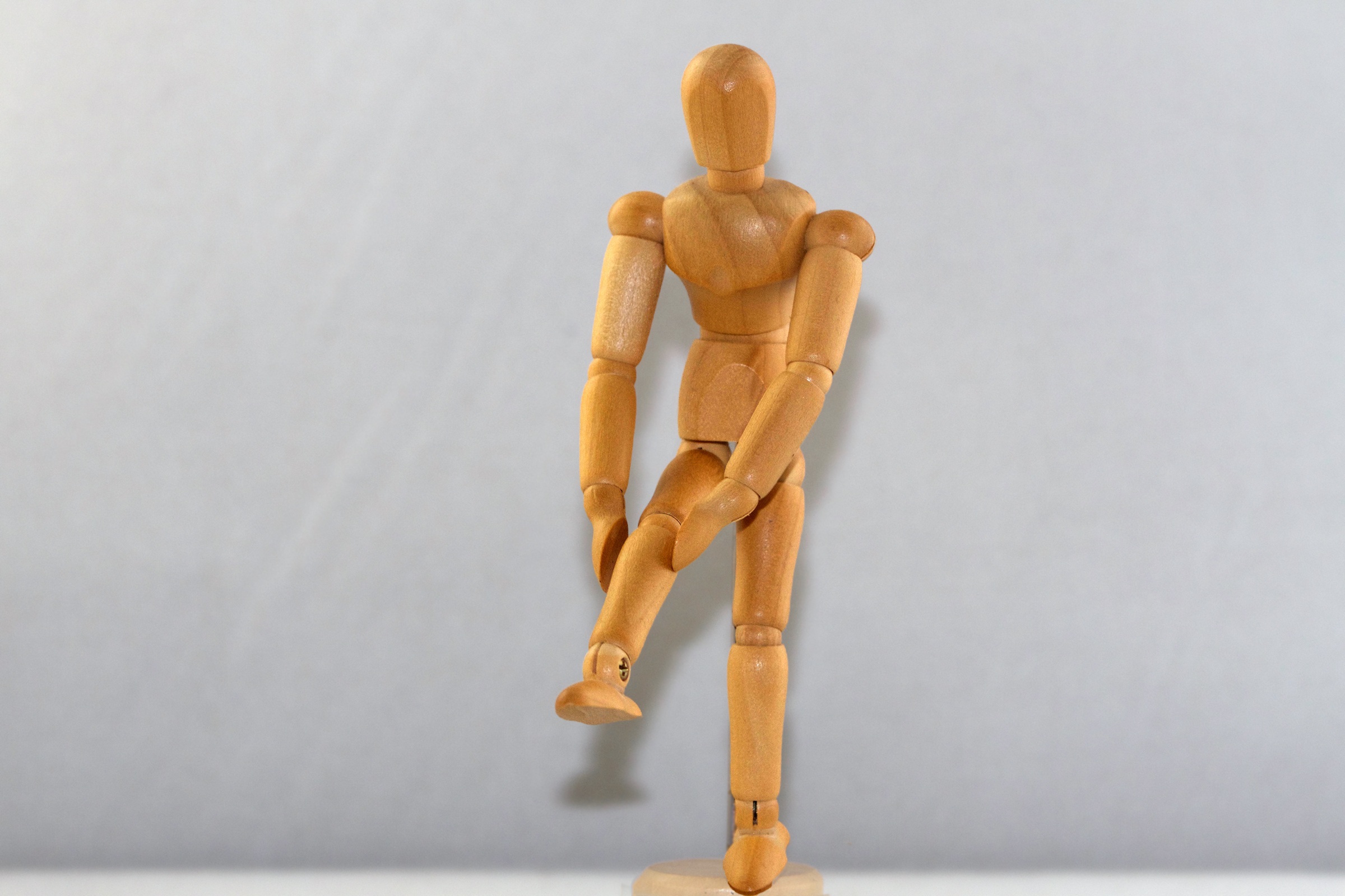 Rappels d'anatomie : La hanche et le genou - partie 1/2