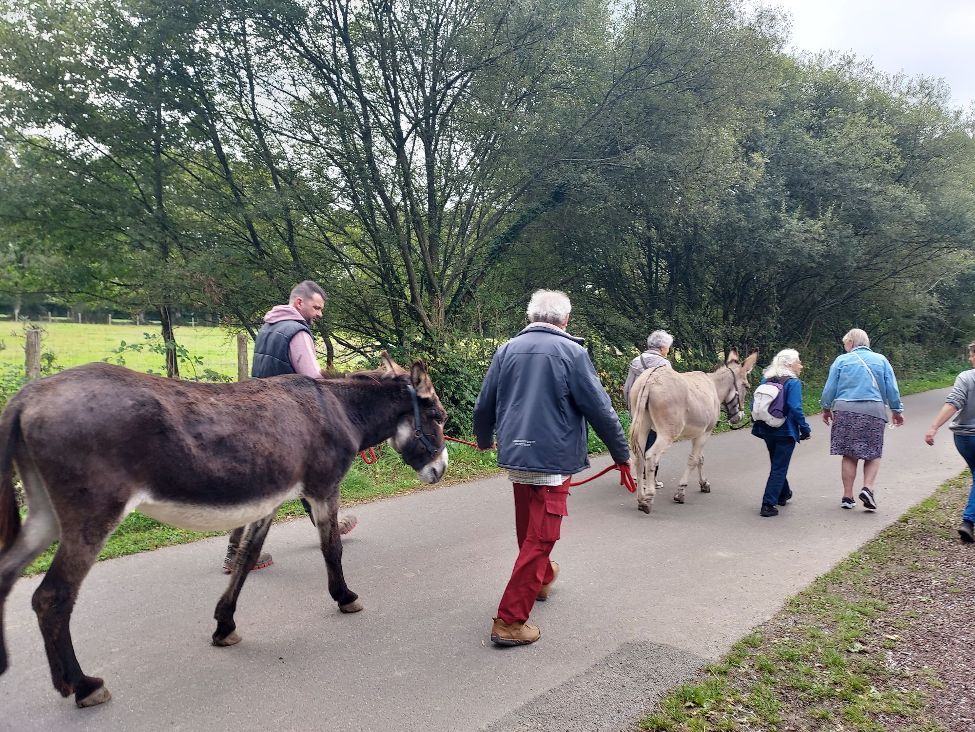 Campagne à bras ouverts - Les ânes du canal