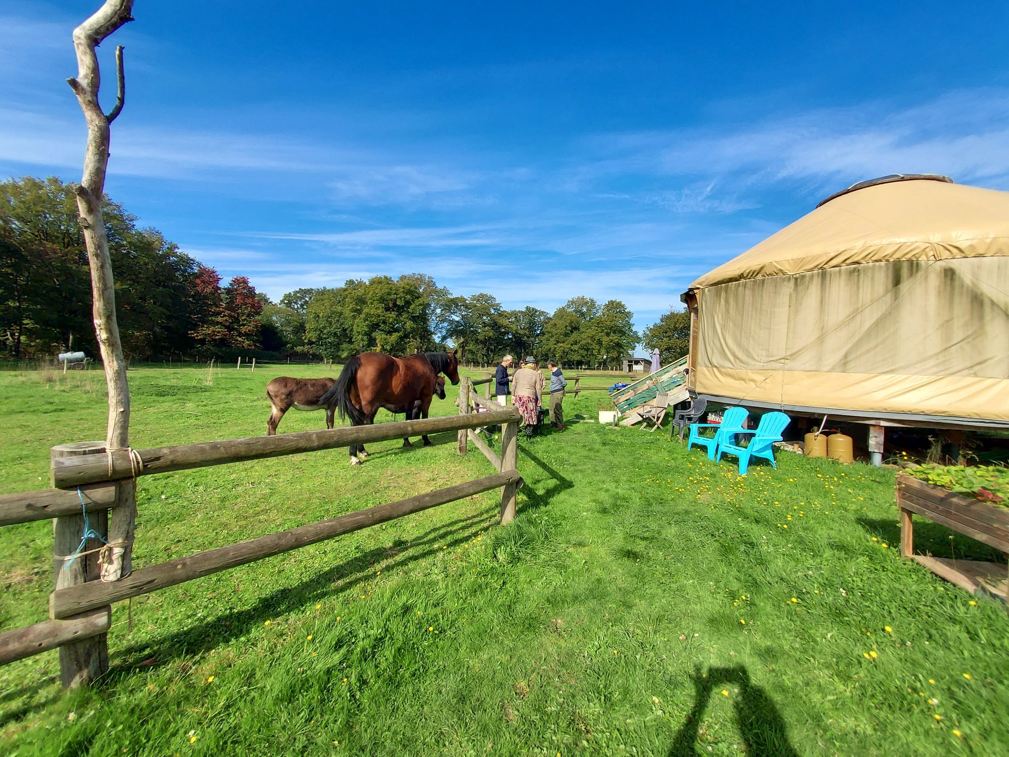 Campagne à bras ouverts : De la main à la patte