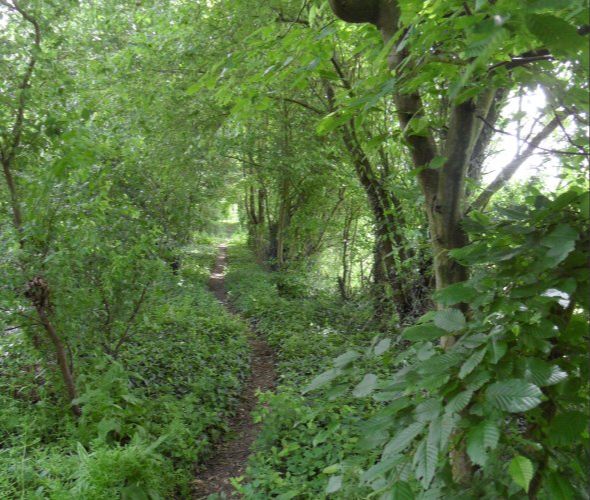 La campagne nous ouvre les bras : une Journée aux chants d'oiseaux