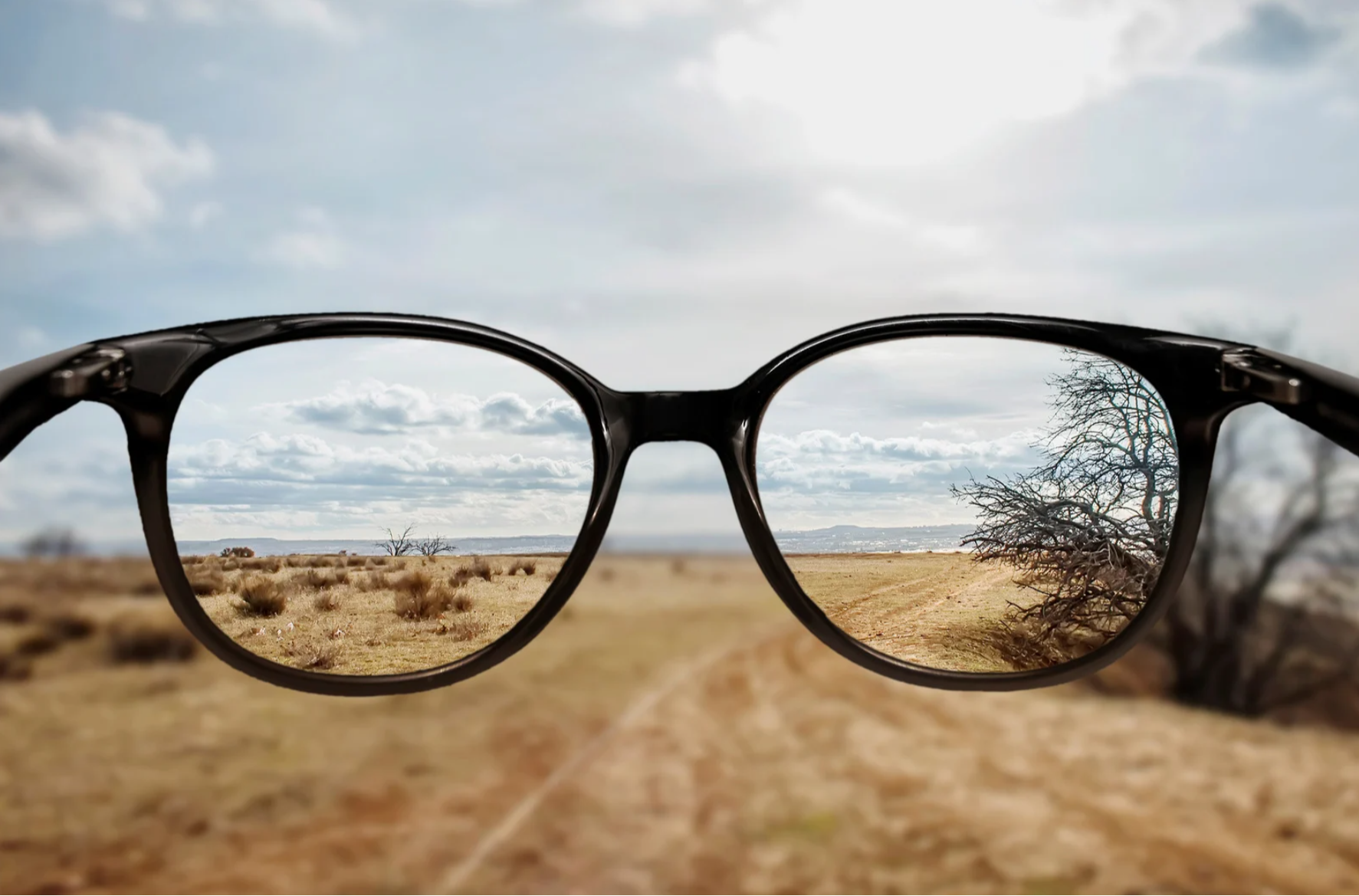 Bistrot Mémoire - Quand la vue baisse : s’informer et trouver des solutions