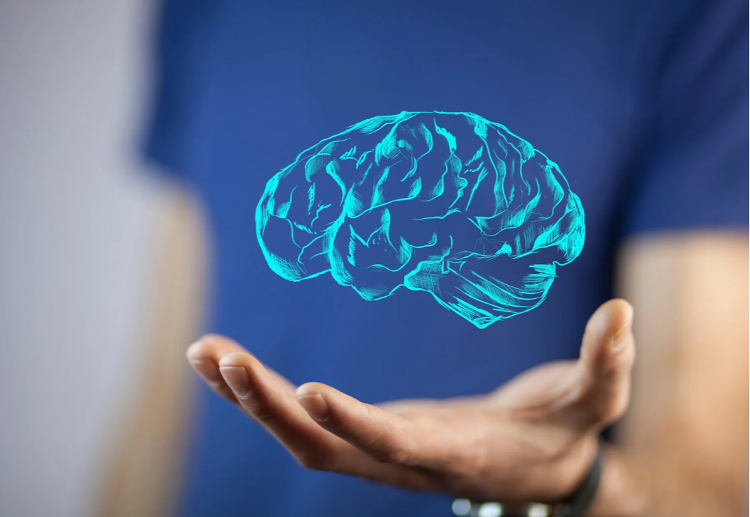 Bistrot Mémoire : Les maladie neuro-évolutives, c'est quoi ?