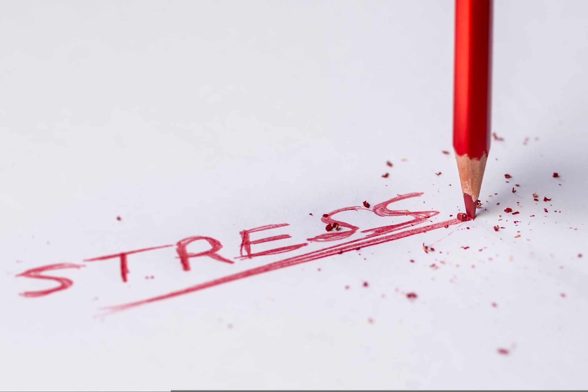 Bistrot Mémoire - Le stress dans tous ses états
