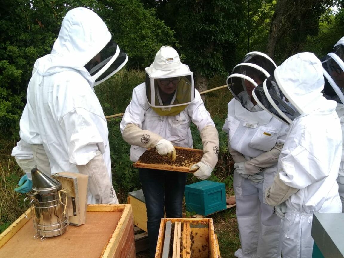 Initiation à l'apiculture - 23 mai 2026