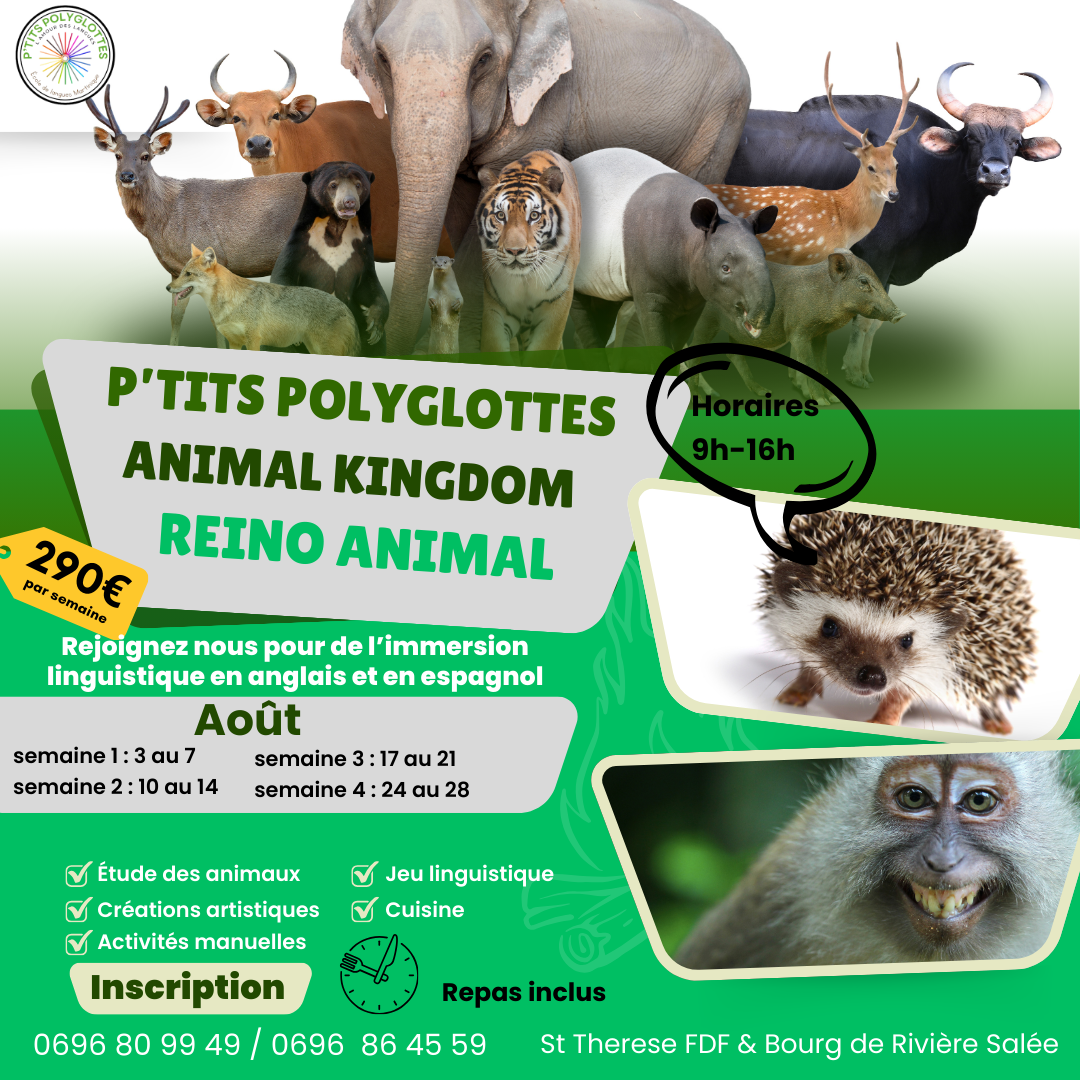 FDF - Stage Animal kingdom / Reino animal