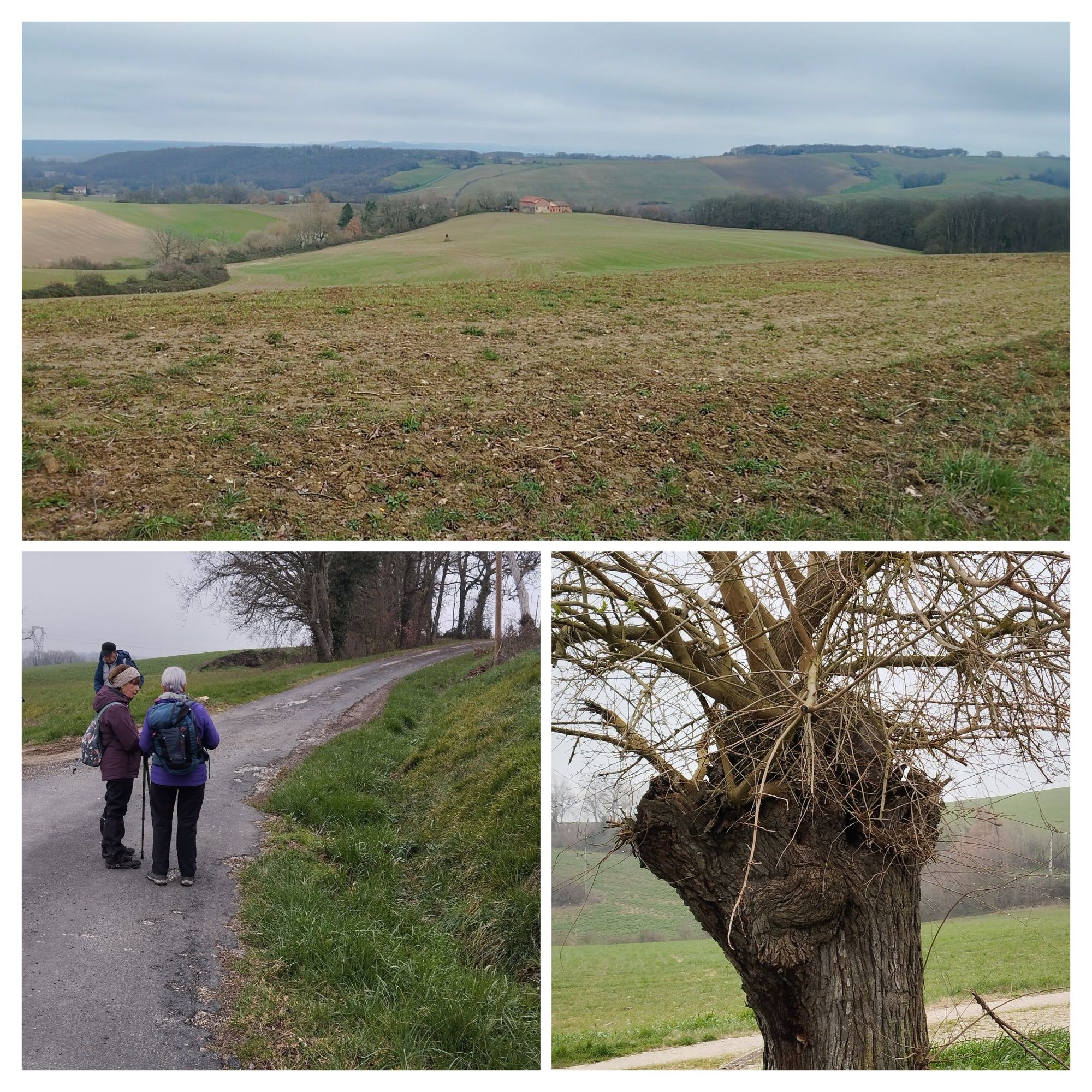 Courte - Dans le pays vaurais depuis Lugan  (81)