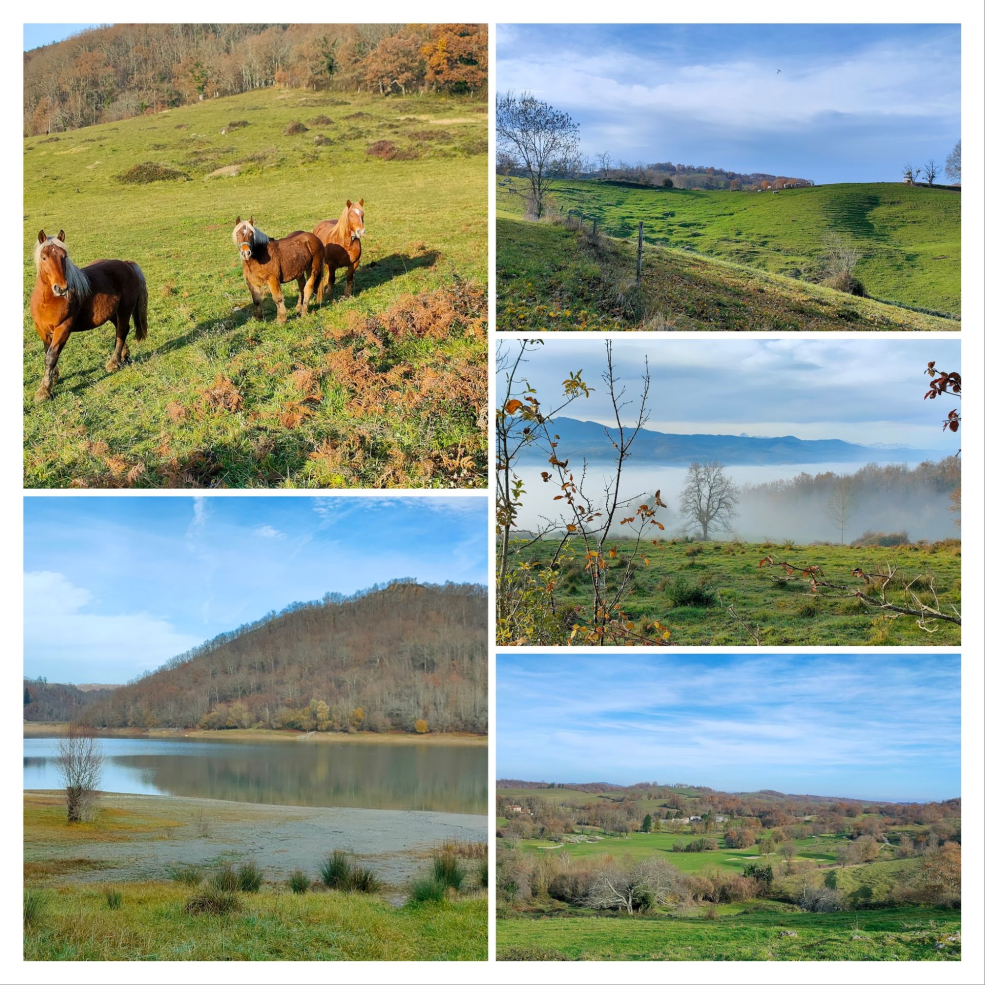 Longue La Bastide-de-Sérou (09)