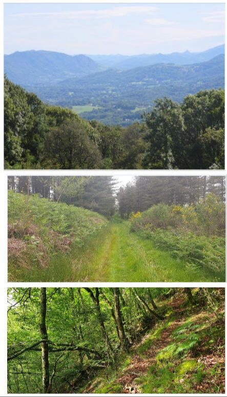 Longue - Serres-sur-Arget (09)