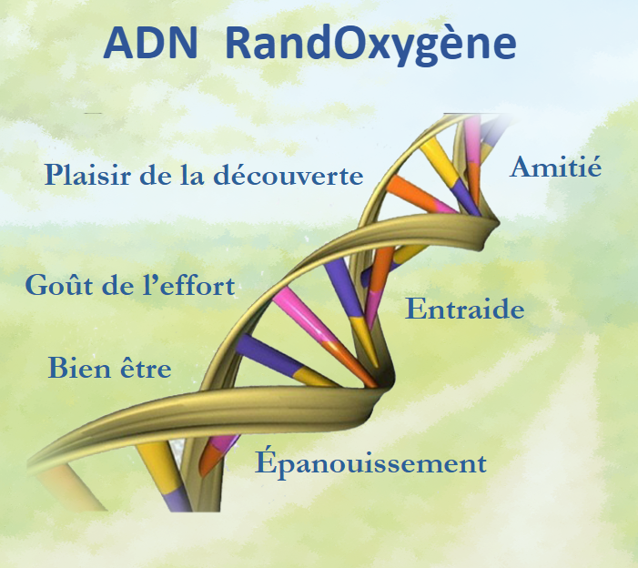 Informations générales sur l'association