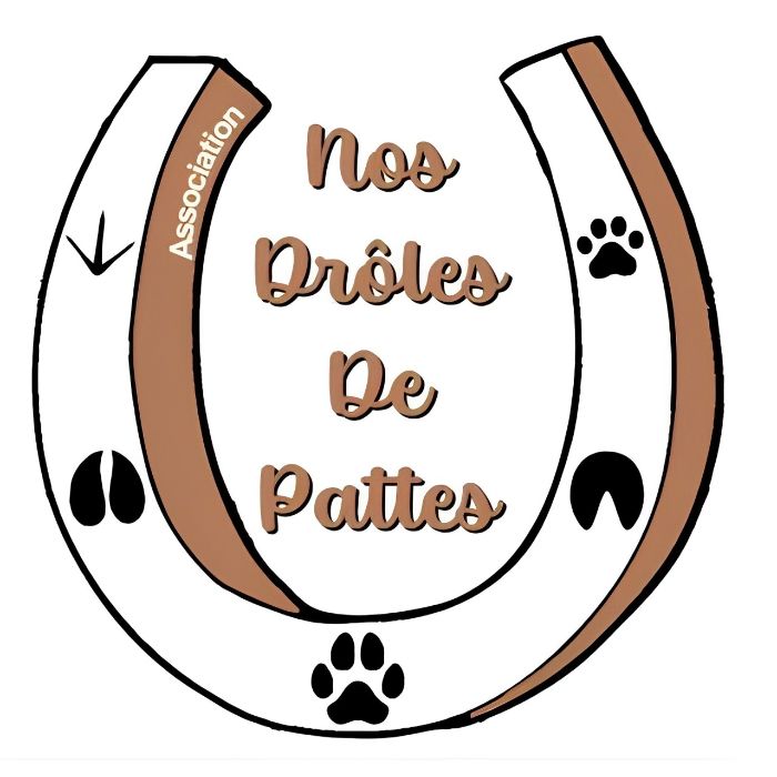Logo Nos drôles de pattes