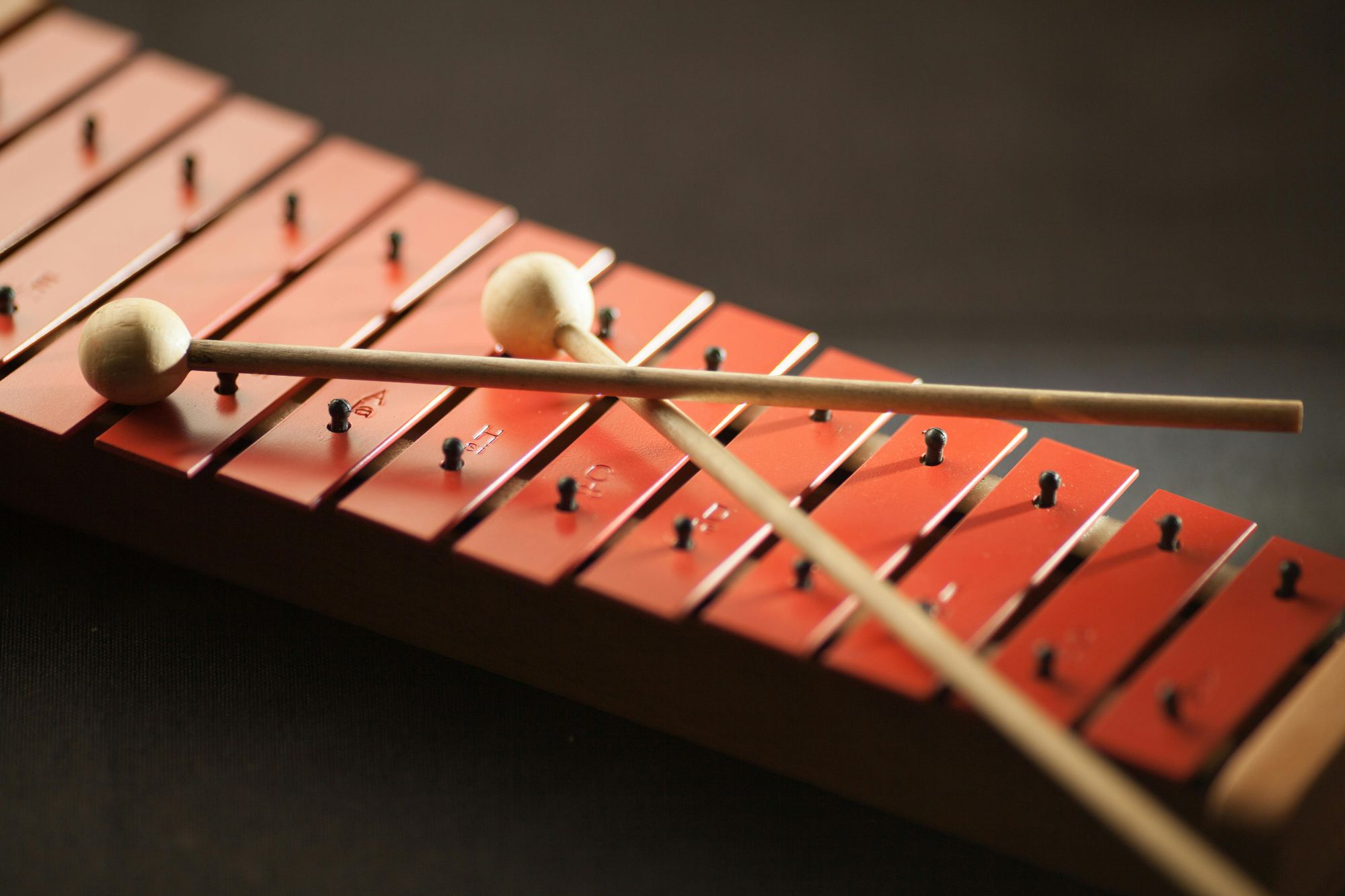 Les p’tits percussionnistes / Chant et percussion / 5-10