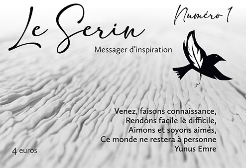 Articles - Vignette