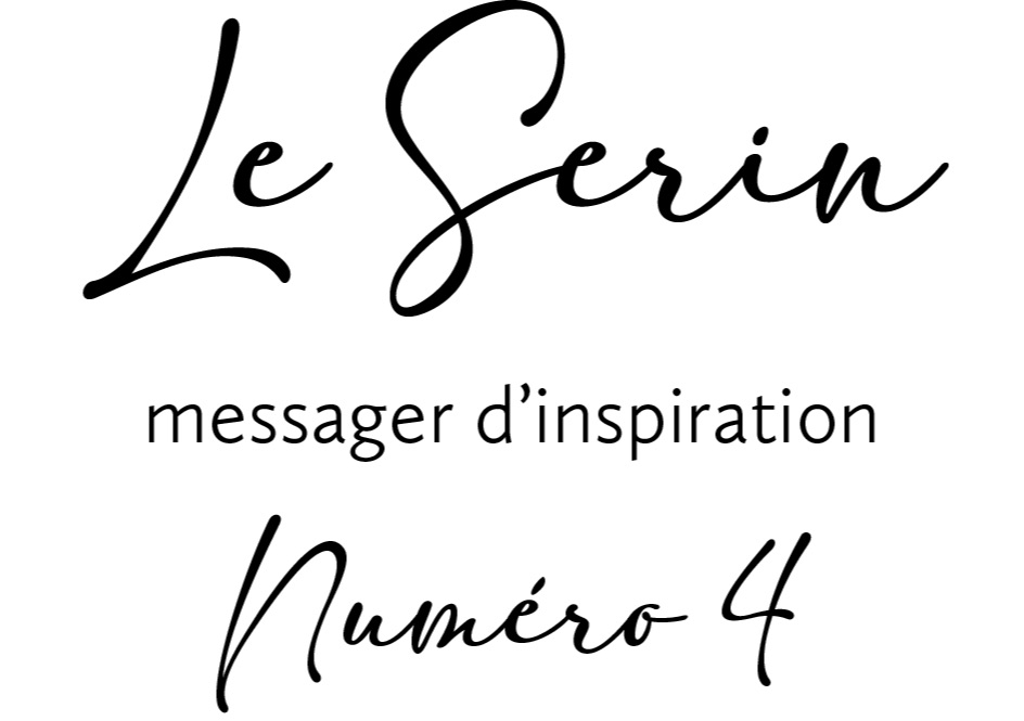 Articles - Vignette