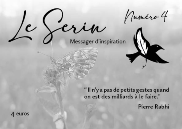 Articles - Vignette
