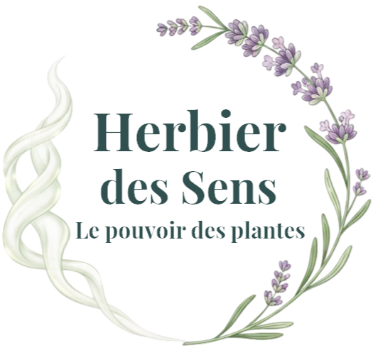 Logo Herbier des Sens