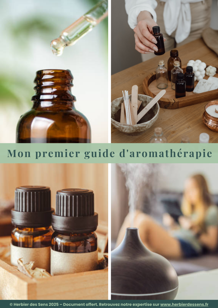 Vos Guides Gratuits
