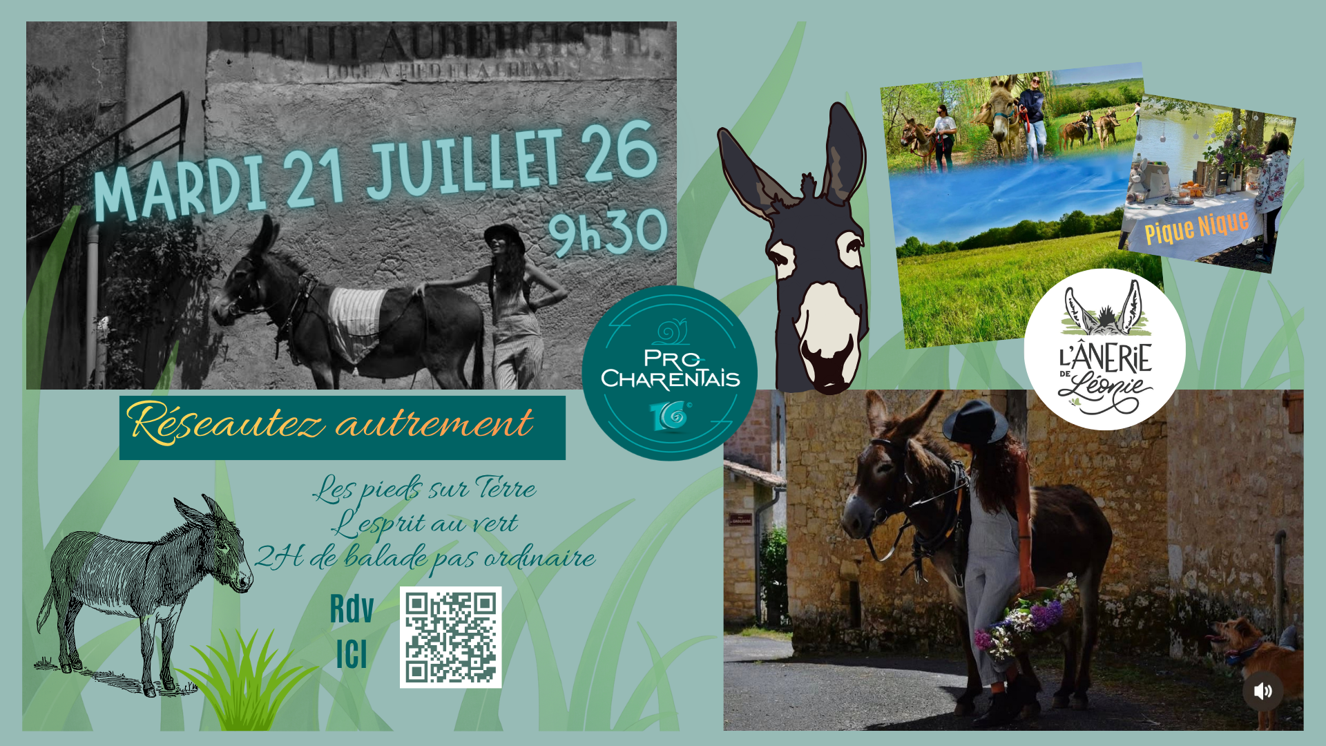Rdv Rencontre & Balade avec les ânes de Léonie ı Le MARDI 21 Juillet à 9H30 à Soudat