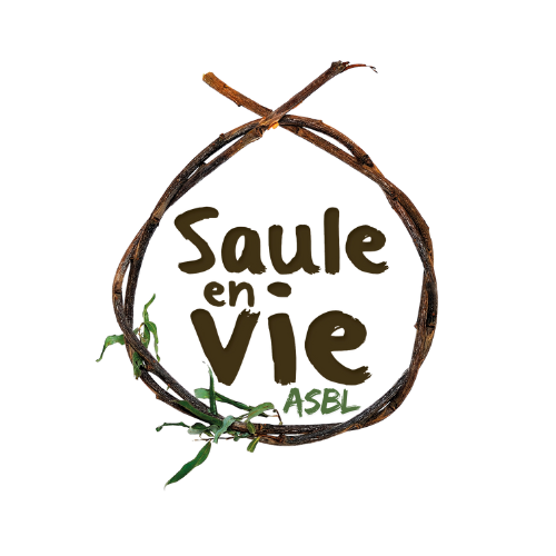 Logo ASBL Saulenvie