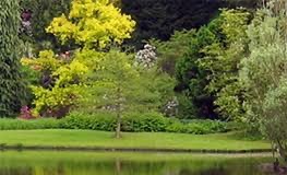 Parco est delle cave