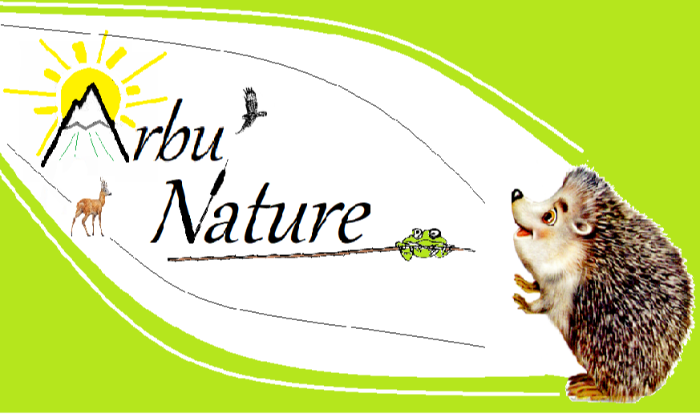 Logo Arbu'Nature