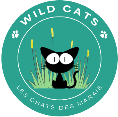 Logo Wild cats
