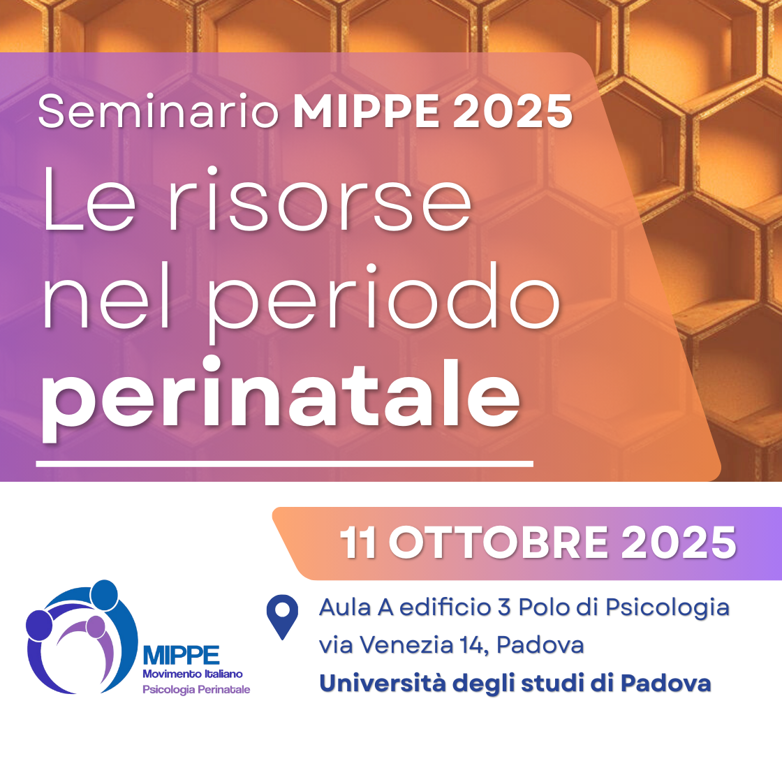 Seminario MIPPE 
