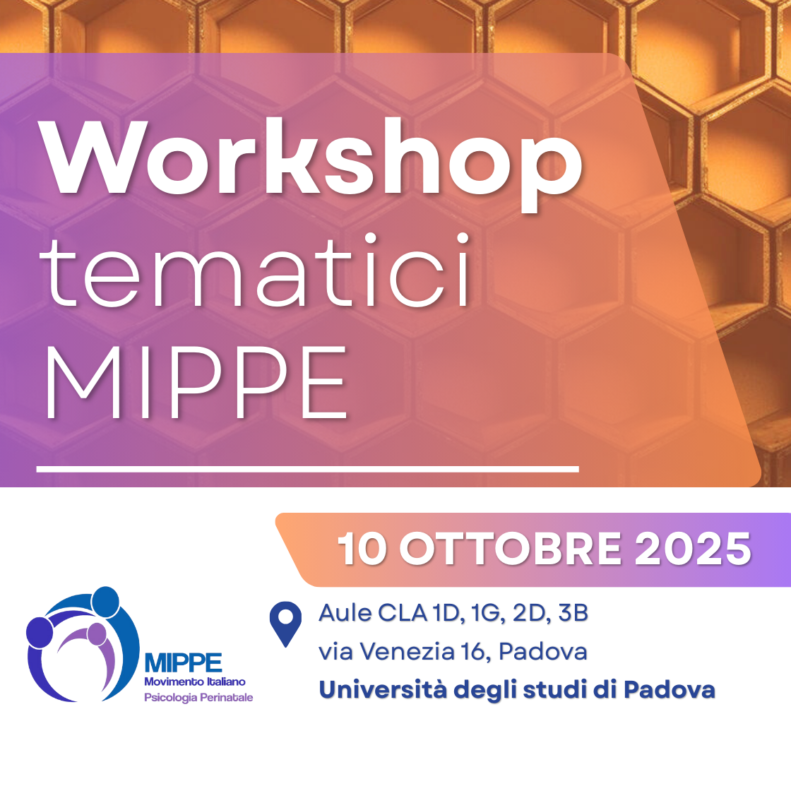 Workshop tematici MIPPE