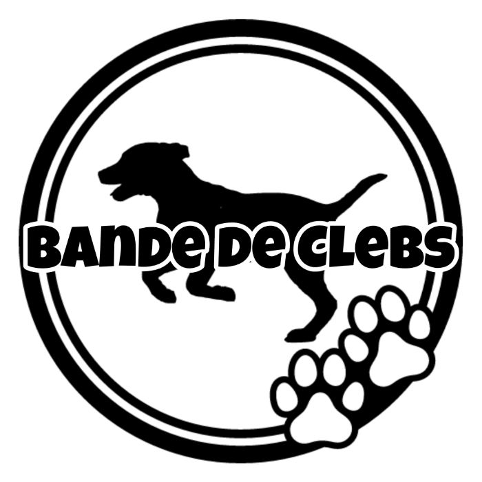 Logo Bande de Clebs