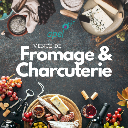Articles - Vignette