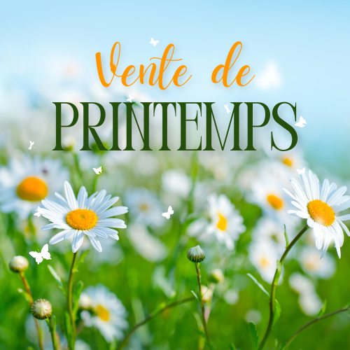 Articles - Vignette
