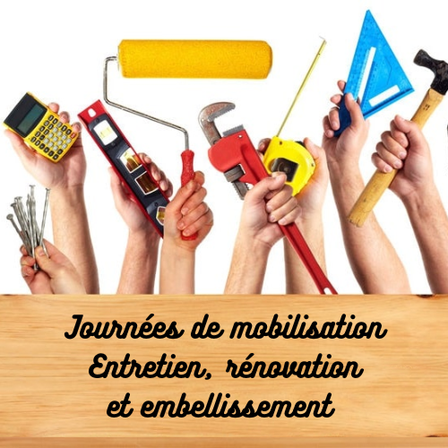 Articles - Vignette