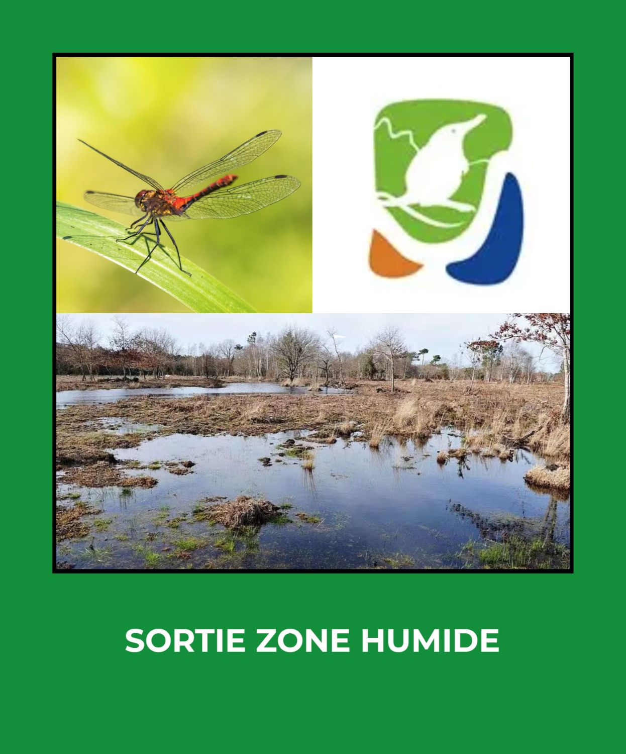 SORTIE ANA / ZONE HUMIDE