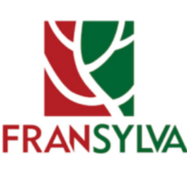 Logo FRANSYLVA43