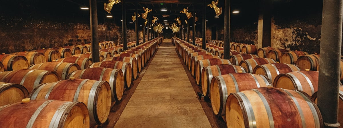 Domaines viticoles autour des Laumes