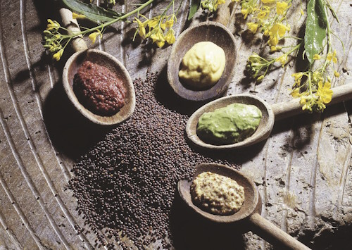 Moutarderie Fallot