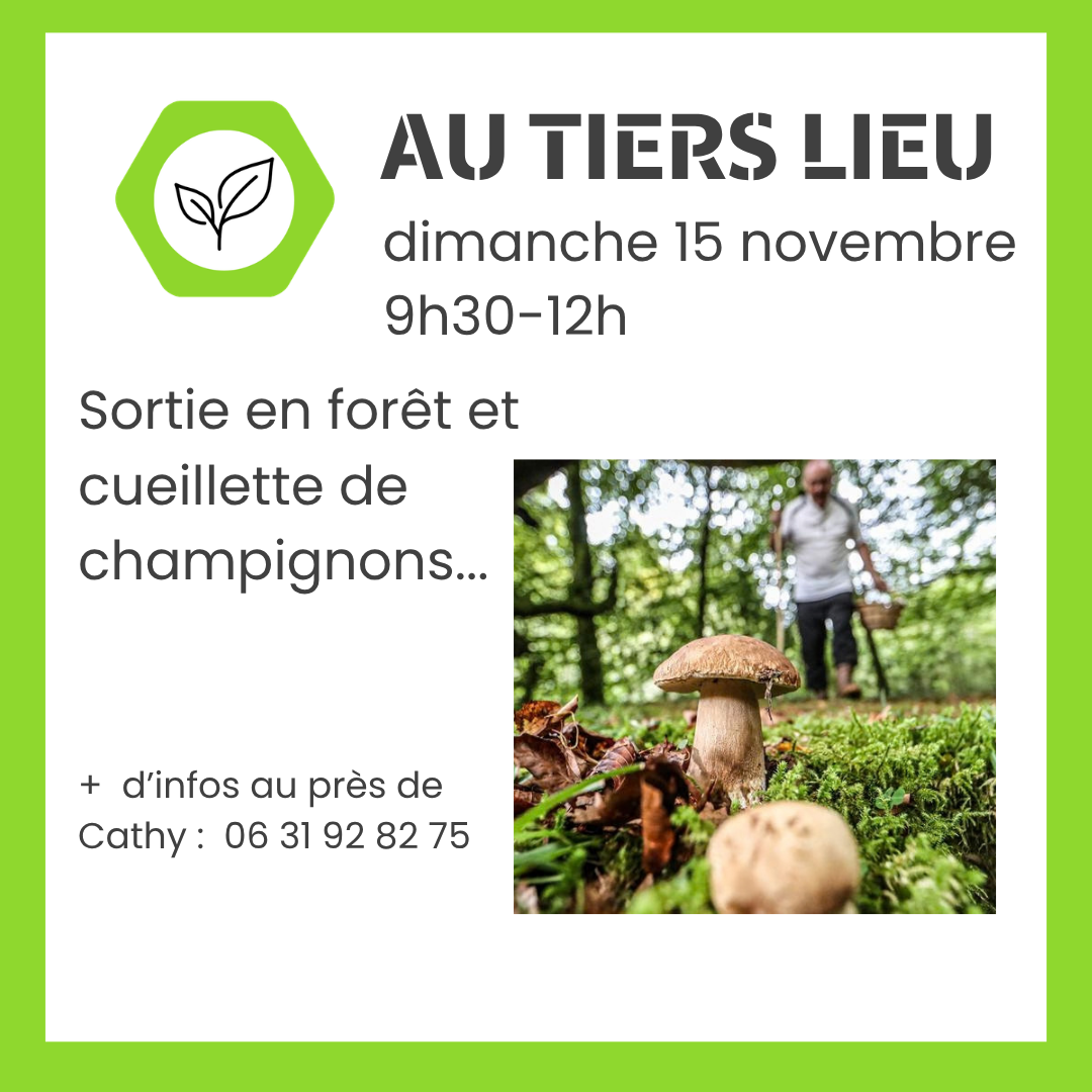 15 novembre - Sortie en forêt et Cueillette de champignons