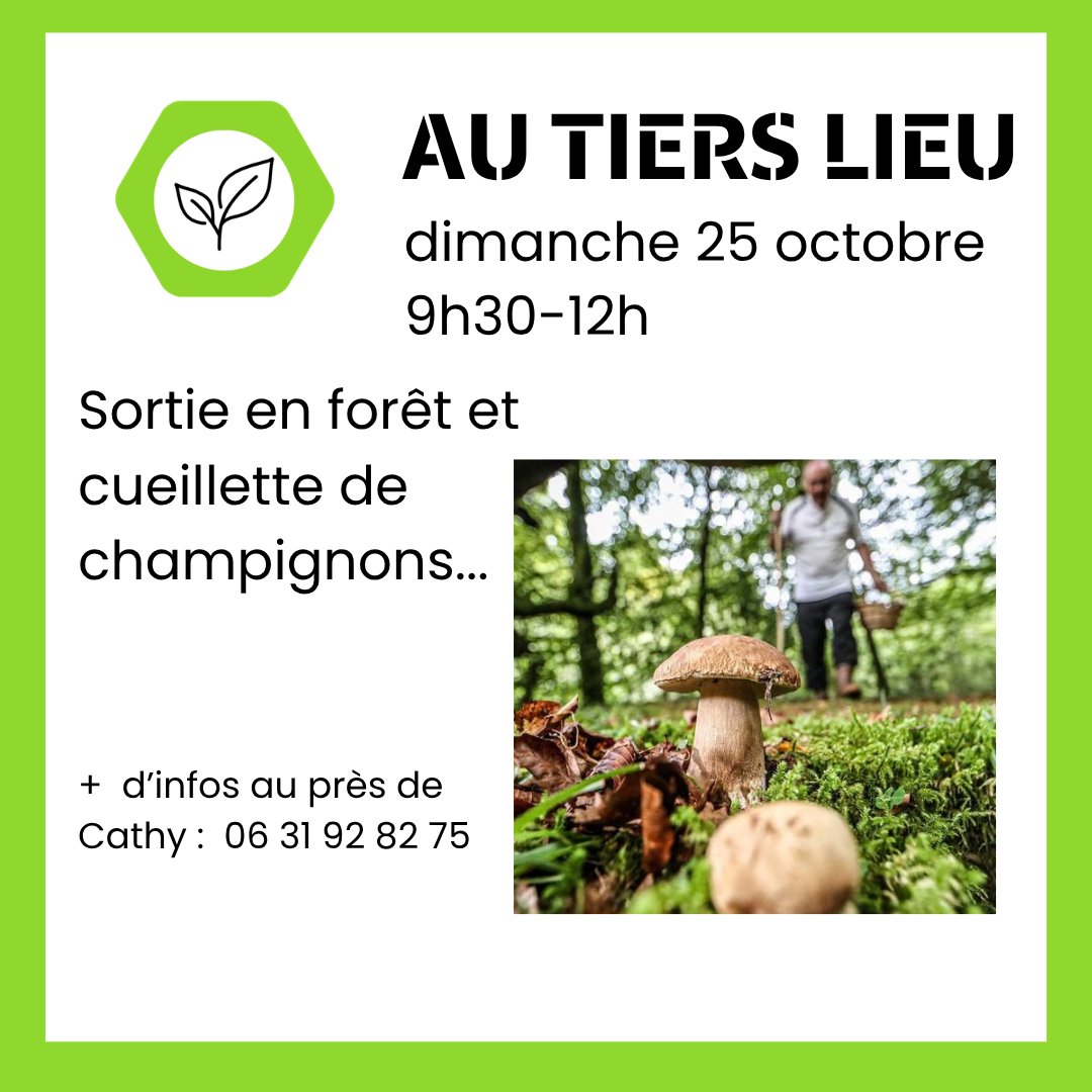 25 octobre - Sortie en forêt et Cueillette de champignons