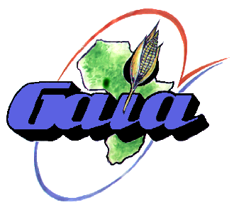 Logo Groupement d'Actions et d'Initiatives pour l'Afrique