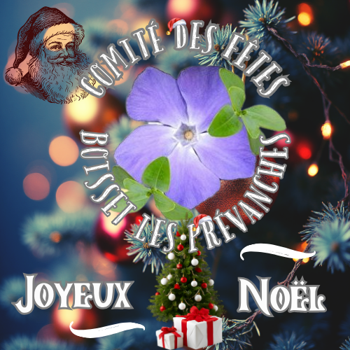 Noël des enfants de Boisset